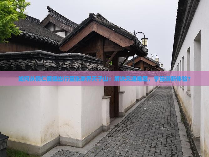 如何从铜仁便捷出行至张家界天子山：解决交通难题，享施游新体验？