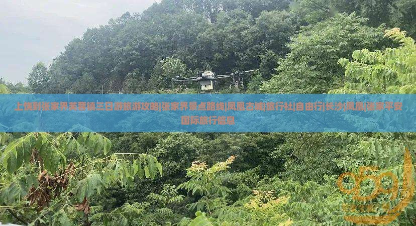 上饶到张家界芙蓉镇三日游旅游攻略|张家界景点路线|凤凰古城|旅行社|自由行|长沙|凤凰|张家平安国际旅行信息