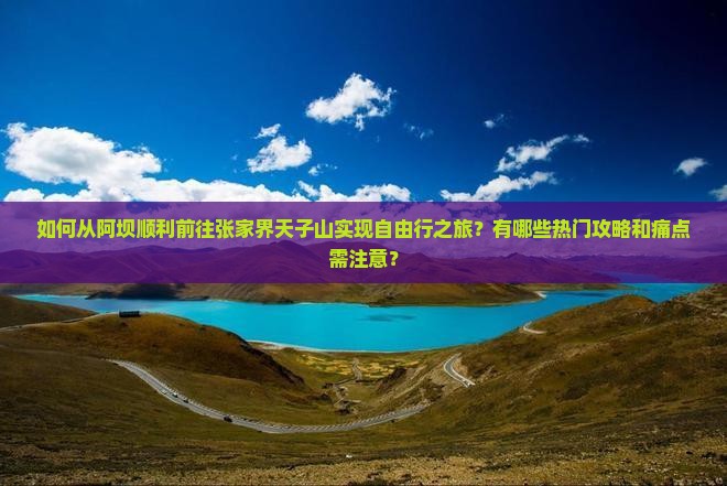 如何从阿坝顺利前往张家界天子山实现自由行之旅？有哪些热门攻略和痛点需注意？