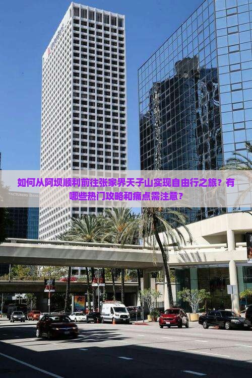 如何从阿坝顺利前往张家界天子山实现自由行之旅？有哪些热门攻略和痛点需注意？