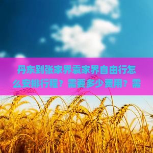 丹东到张家界袁家界自由行怎么安排行程？需要多少费用？需要注意什么？