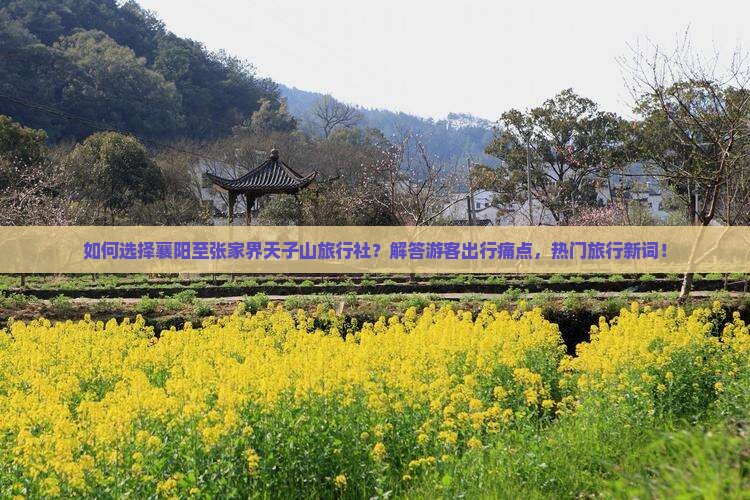 如何选择襄阳至张家界天子山旅行社？解答游客出行痛点，热门旅行新词！