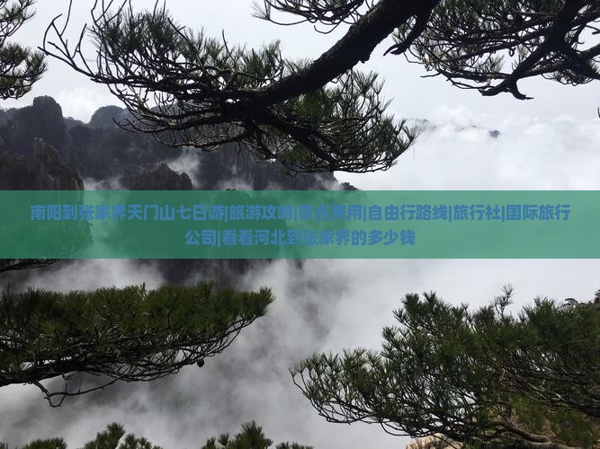南阳到张家界天门山七日游|旅游攻略|景点费用|自由行路线|旅行社|国际旅行公司|看看河北到张家界的多少钱