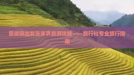 景德镇出发张家界旅游攻略——旅行社专业旅行指南
