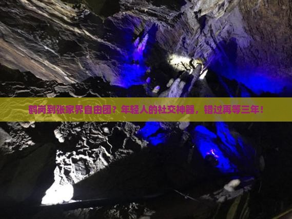 鹤岗到张家界自由团？年轻人的社交神器，错过再等三年！