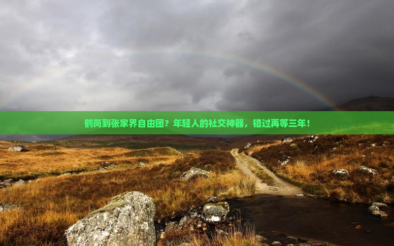 鹤岗到张家界自由团？年轻人的社交神器，错过再等三年！