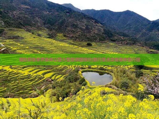 烟台到张家界森林公园大型旅游团报价|旅行景点攻略森林旅行团