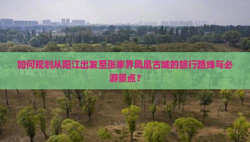 如何规划从阳江出发至张家界凤凰古城的旅行路线与必游景点？