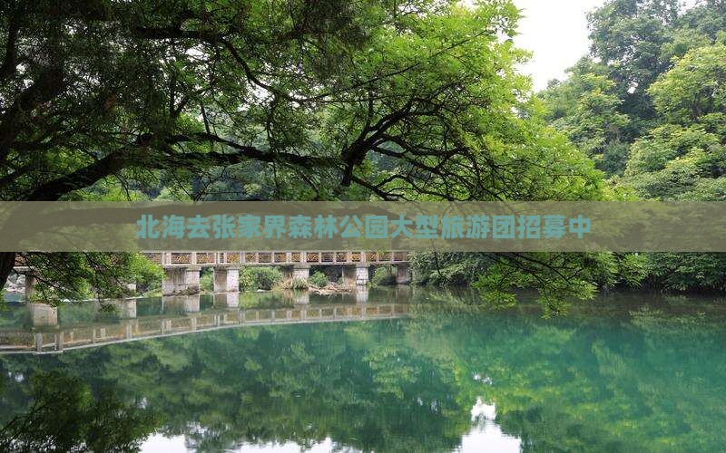 北海去张家界森林公园大型旅游团招募中