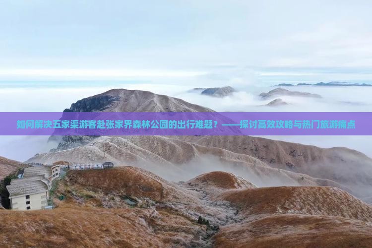 如何解决五家渠游客赴张家界森林公园的出行难题？——探讨高效攻略与热门旅游痛点