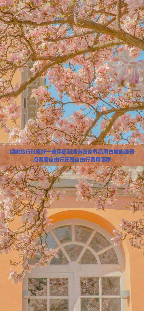 哪家旅行社更好一些霍邱到湖南张家界凤凰古城旅游景点看看自由行还是自由行费用哪家