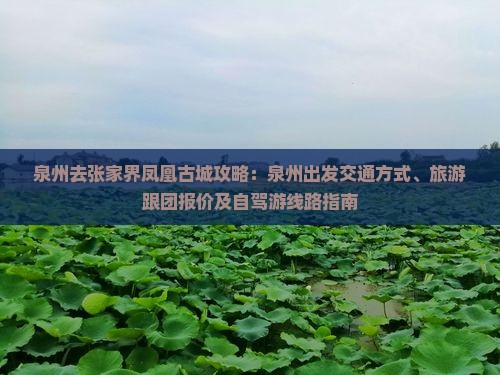 泉州去张家界凤凰古城攻略：泉州出发交通方式、旅游跟团报价及自驾游线路指南