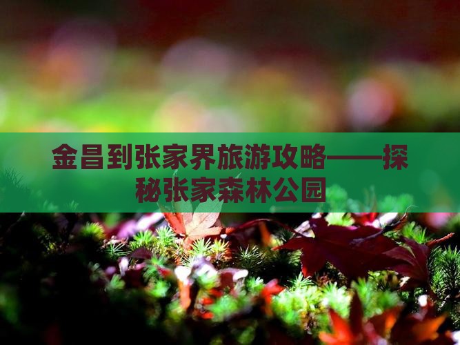金昌到张家界旅游攻略——探秘张家森林公园