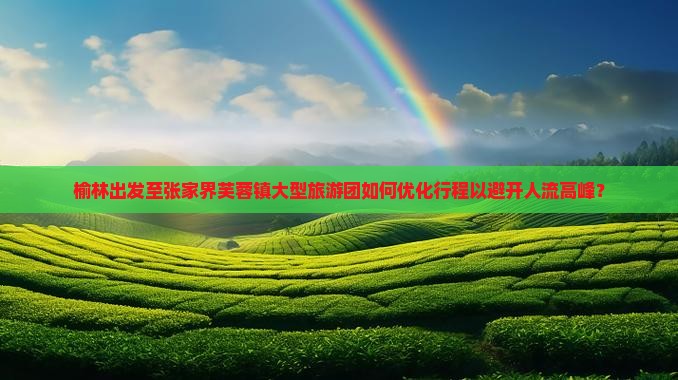 榆林出发至张家界芙蓉镇大型旅游团如何优化行程以避开人流高峰？