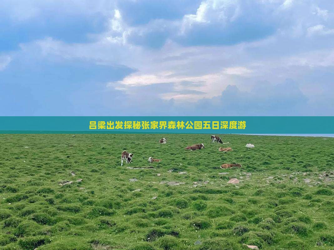 吕梁出发探秘张家界森林公园五日深度游