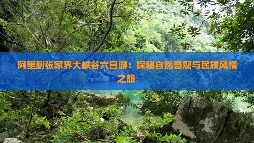 阿里到张家界大峡谷六日游：探秘自然奇观与民族风情之旅