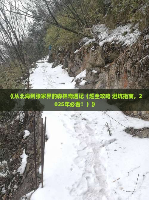 北海去张家界森林公园二日游