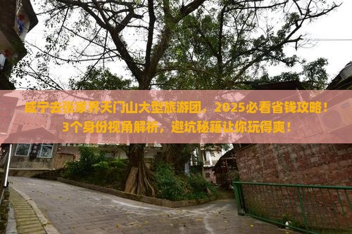 咸宁去张家界天门山大型旅游团