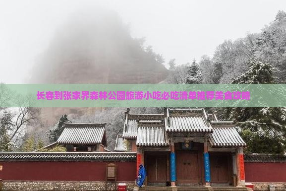 长春到张家界森林公园旅游小吃