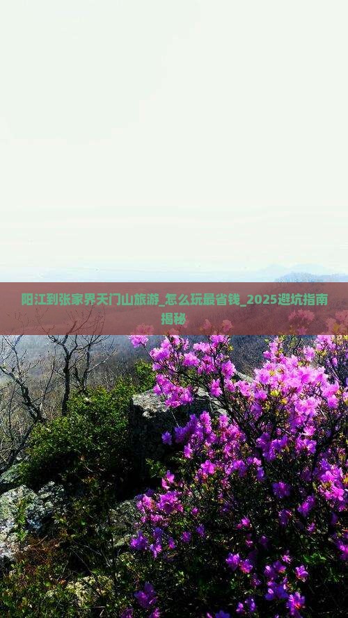 阳江到张家界天门山旅游