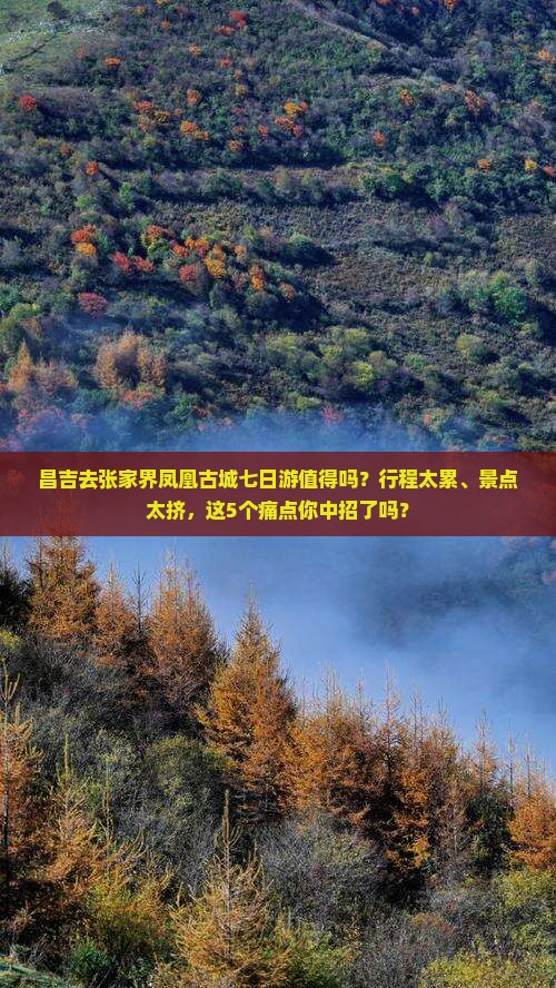 昌吉去张家界凤凰古城七日游