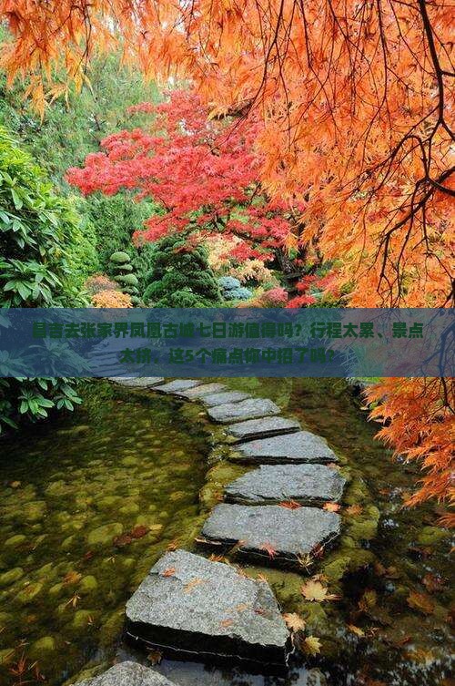 昌吉去张家界凤凰古城七日游