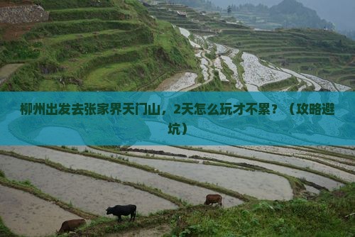 柳州到张家界天门山二日游