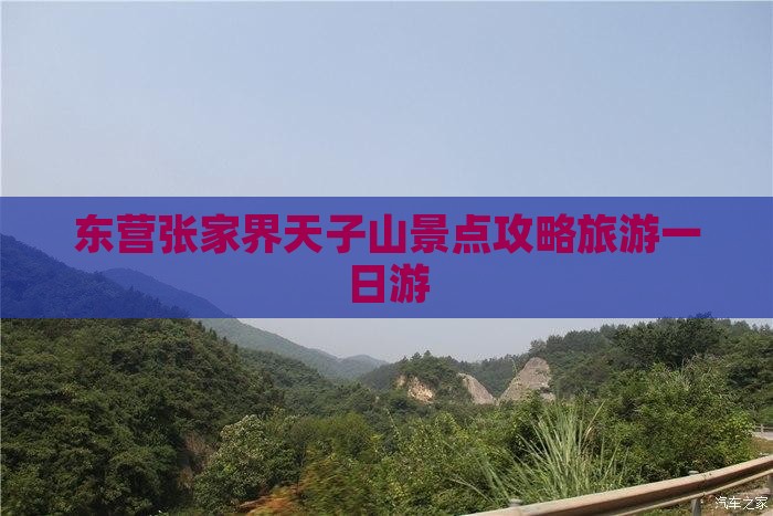 东营去张家界天子山一日