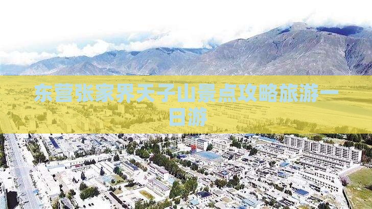 东营去张家界天子山一日
