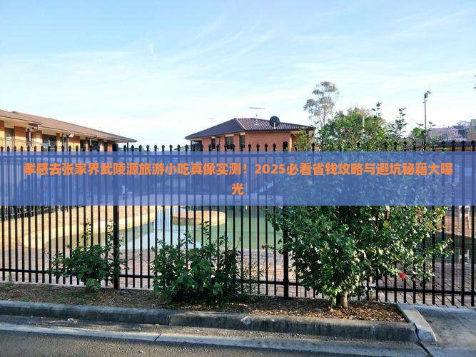孝感去张家界武陵源旅游小吃