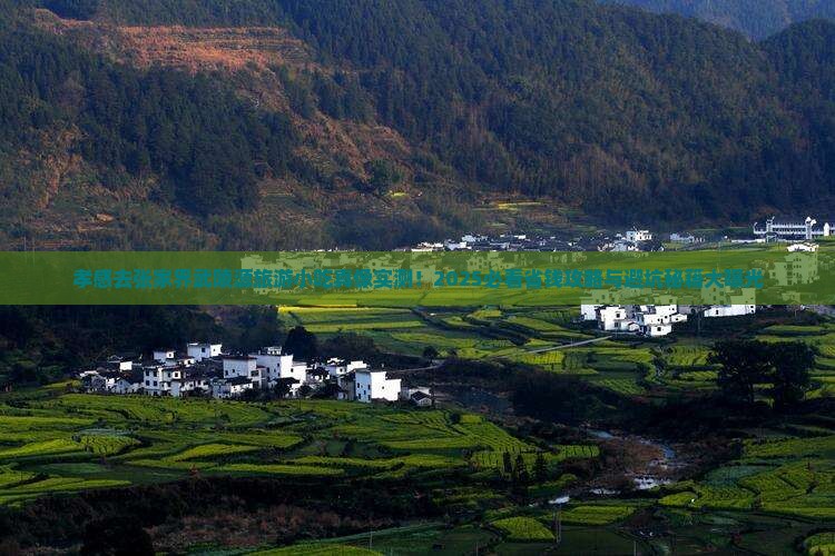 孝感去张家界武陵源旅游小吃
