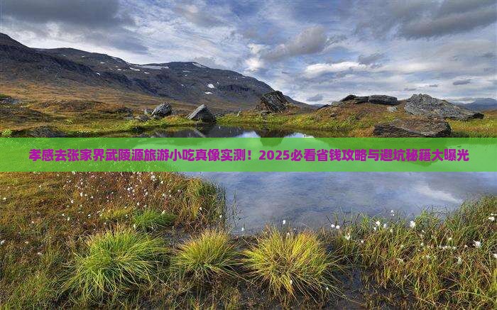 孝感去张家界武陵源旅游小吃