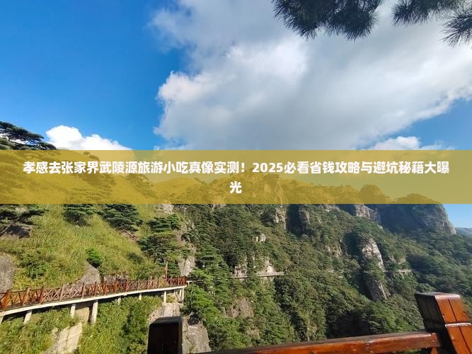 孝感去张家界武陵源旅游小吃
