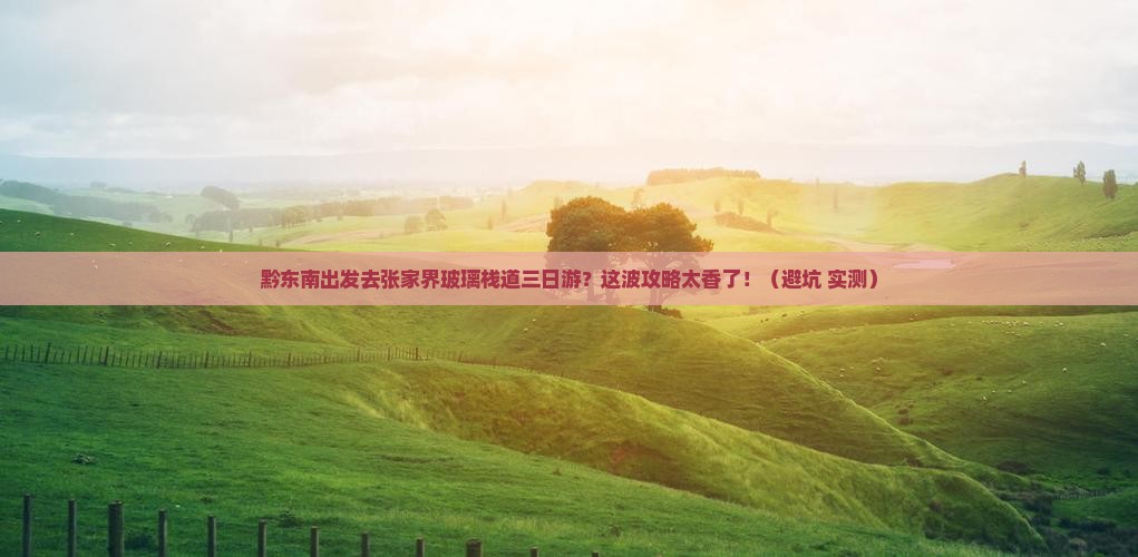 黔东南去张家界玻璃栈道三日游