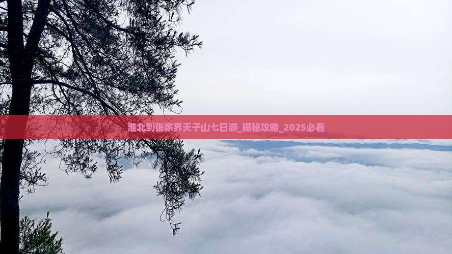 淮北到张家界天子山七日游
