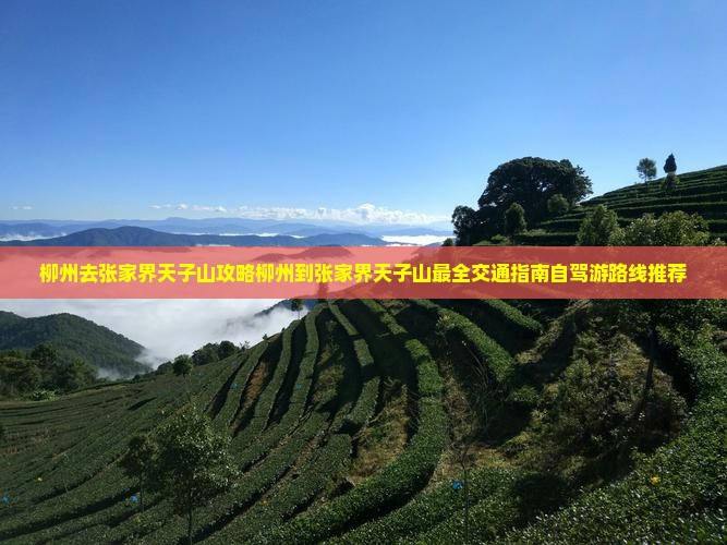 柳州去张家界天子山攻略