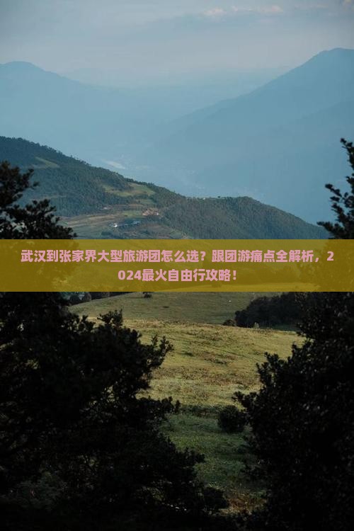 武汉到张家界大型旅游团
