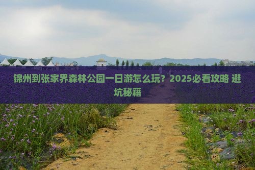 锦州到张家界森林公园一日