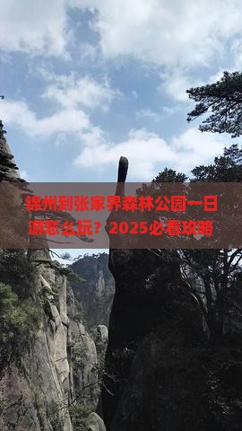 锦州到张家界森林公园一日