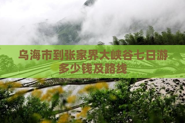 乌海市到张家界大峡谷七日游