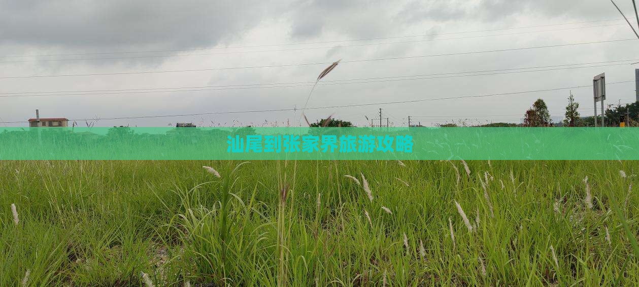 汕尾到张家界森林公园旅游