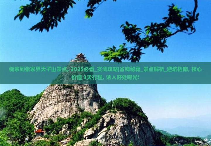 新余到张家界天子山景点