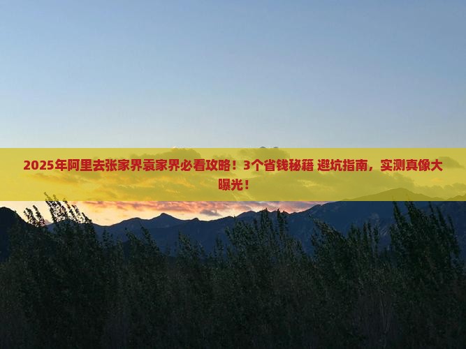 阿里去张家界袁家界攻略