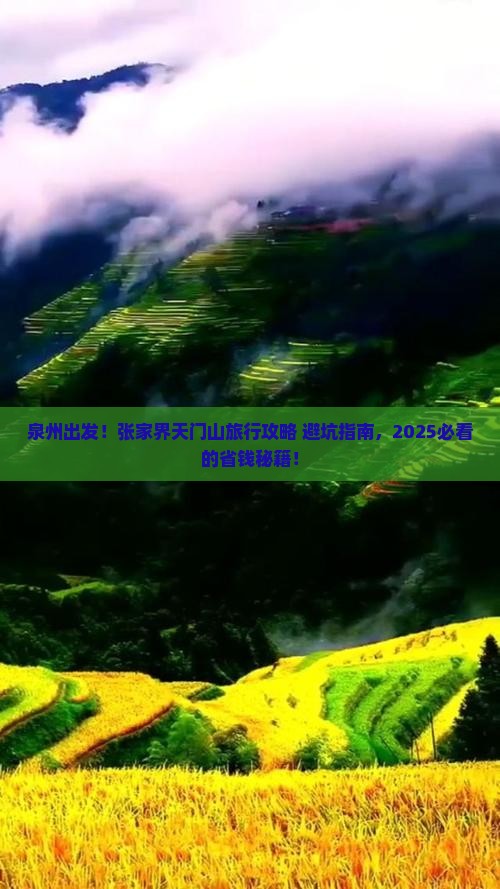 泉州到张家界天门山旅行社