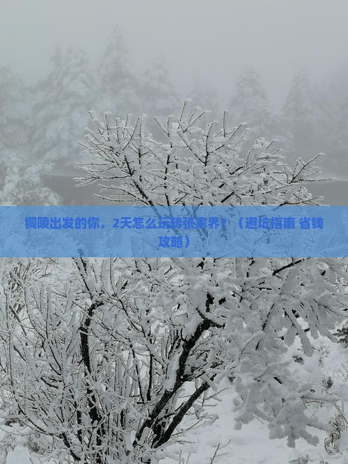 铜陵到张家界自由团