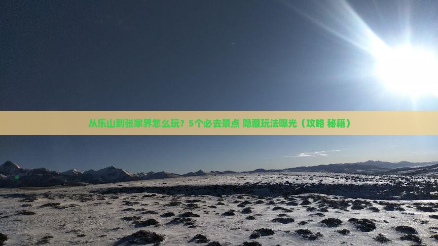 乐山去张家界哪里玩