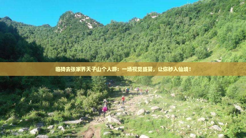 临猗去张家界天子山个人游