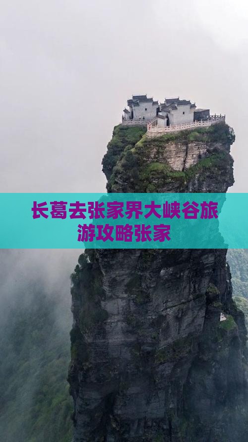 长葛去张家界个人游