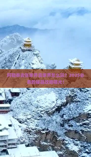 阿勒泰去张家界袁家界攻略