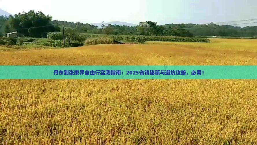丹东到张家界自由团